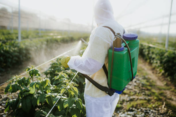 Seasonal Pest Control in Oak Grove, SC